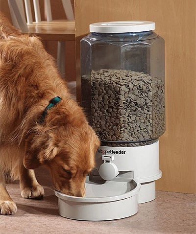 Correct Amount Of Food For Dogs Correct Amount Of Food For Dogs