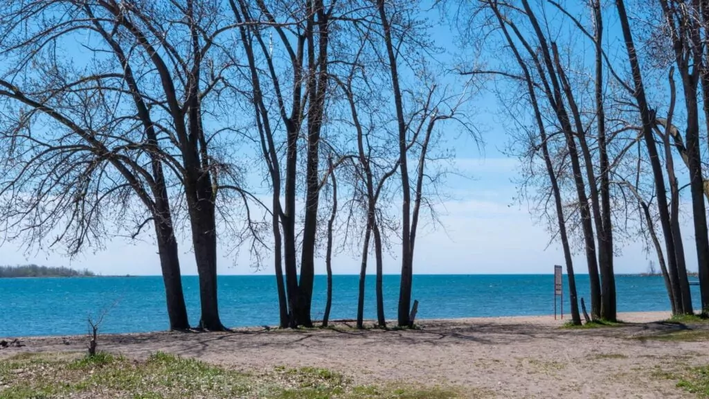 Sunny Day at Cherry Beach