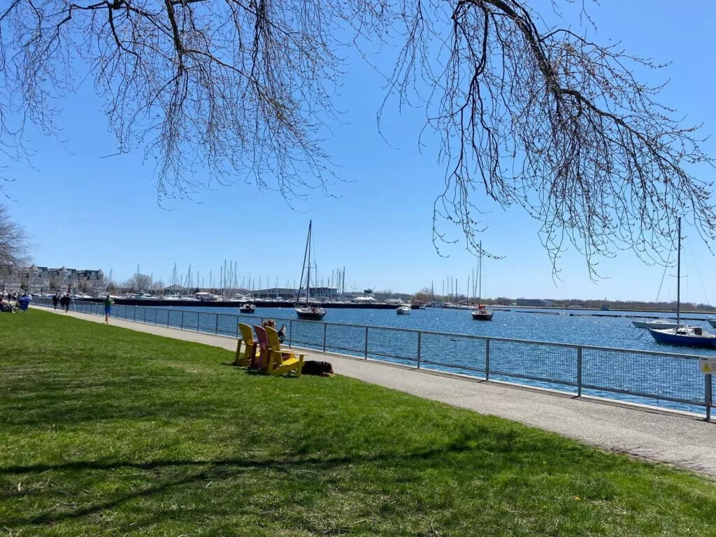 Overlooking Lakeshore at Coronation Park