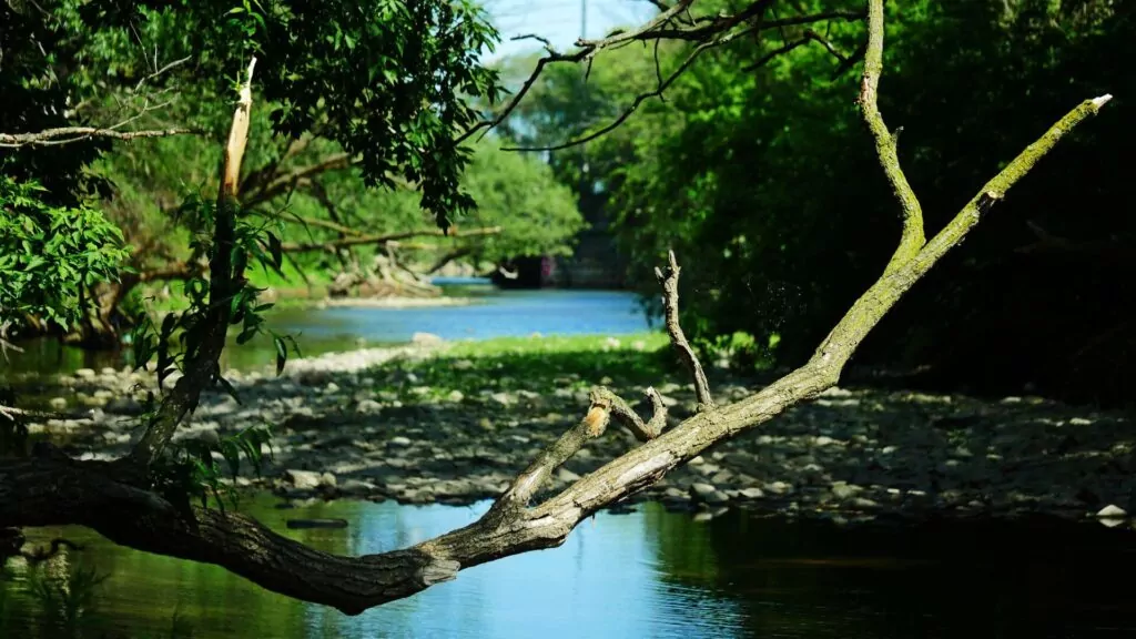 Etobicoke Creek