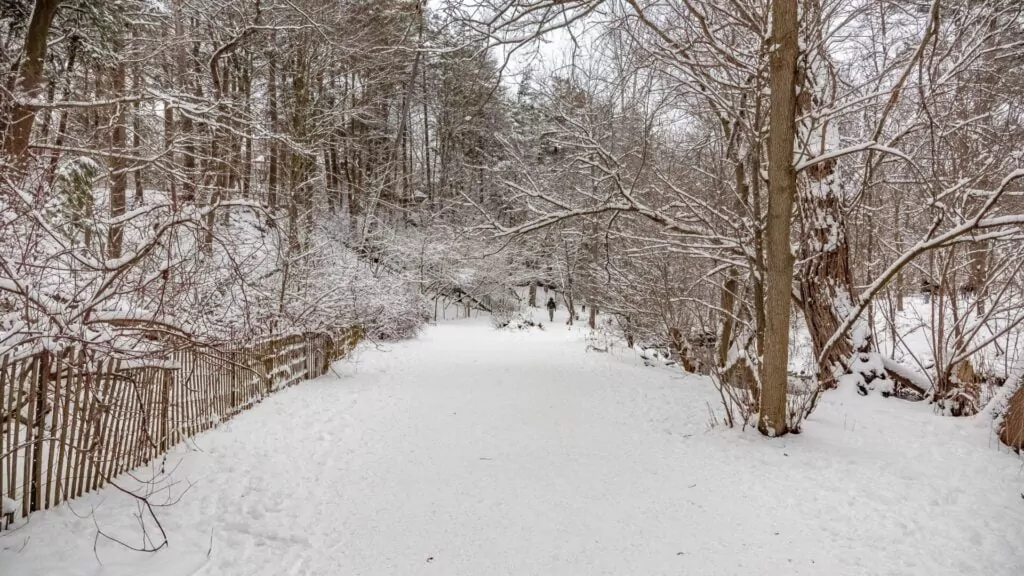 Winter Day at Sherwood Park