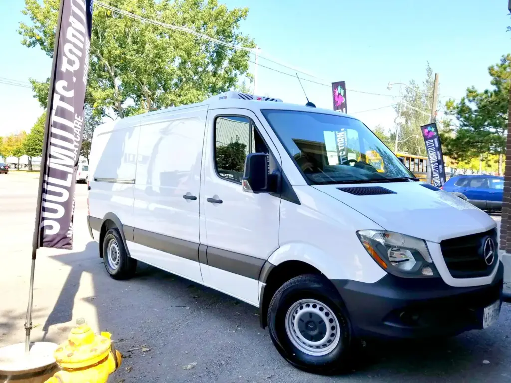 Soulmutts Toronto Daycare & Walking Mercedes Sprinter Pick Up Van