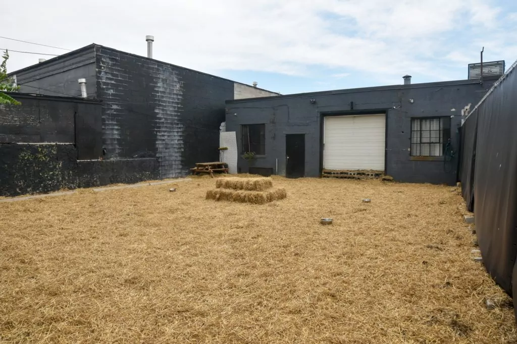 Urban backyard with straw-covered ground.