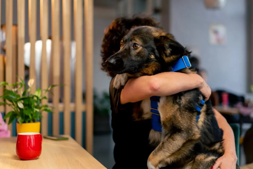 Dog being hugged before daycare.