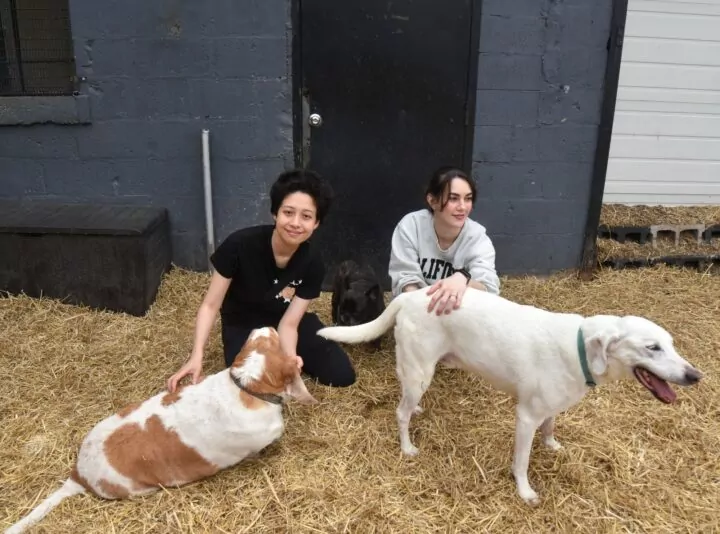 Two people petting three dogs outside shelter