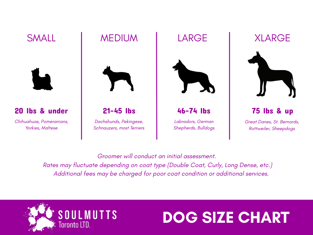 Dog size chart with weight and breed categories.